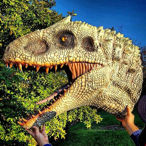 1 2 Scale Jurassic World Indominus Rex Bust Rpf Costume And Prop
