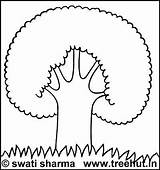 Coloring Pages Trees Tree Views sketch template