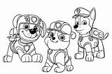 Rubble Chase Zuma Patrol Paw Together Pages Pages2color Cookie Copyright sketch template