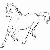 Coloring Horse Pages Galloping Getdrawings sketch template