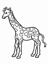 Giraffe Coloring Pages Kids Girafe Cute Drawing Printable Baby Cartoon Giraffes Sheets Coloriage Simple Color Animal Colouring Dessin Sheet Print sketch template
