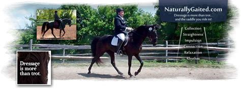 Dressage Is More Than Trot And The Saddle You Ride In