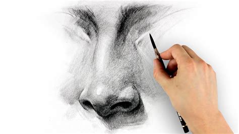 draw  nose   top  nose