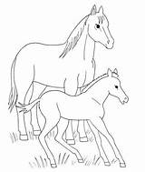 Horse Foal Coloring Pages Baby Printable Horses Animals Spirit Color Foals Animal Supercoloring Clipart Miniature Cute Movie Fohlen Mit Pferde sketch template