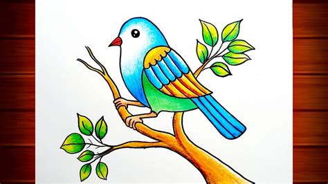 top  birds sketches  colouring latest ineteachers
