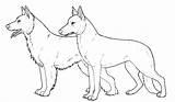 German Shepherd Dog Colouring Deviantart Pdf Appears Browser Support Web Don sketch template