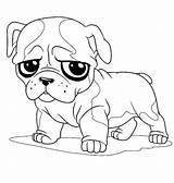 Excellent Puppy Getdrawings Getcolorings sketch template