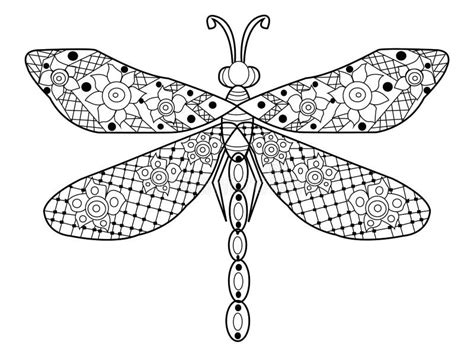 dragonfly coloring vector  adults stock vector illustration