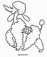 Poodle Bestcoloringpagesforkids sketch template