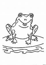 Frog Kids Coloring Pages Printable Frogs Sheets Colouring Bestcoloringpagesforkids Print Speckled Preschool sketch template
