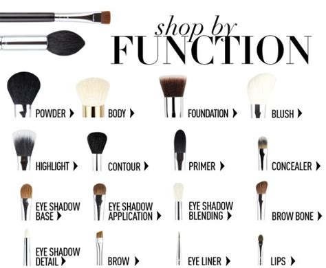 makeup brushes and their functions makeup brushes guide