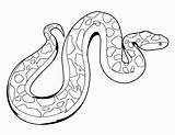 Schlange Ausmalbilder Diemalen Erwachsene Drucken Kobra sketch template