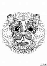 Mandala Difficult Dog Head Mandalas Coloring Color If Quite Areas Perfect Small Complex Cute Little Various Details sketch template