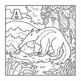 Anteater Ameisenbär Xenops Incolore Formichiere Buchstabe Farblose Malbuch Lettera Anthill Ameisenhaufen Narvalo Ameisen Colorless Segni Lettere sketch template
