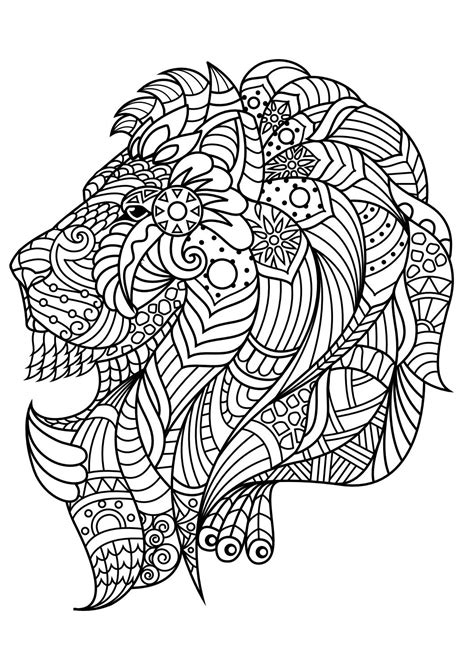 animal coloring pages   marko petkovic issuu