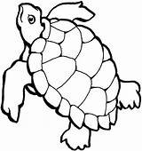 Turtle Sea Coloring Outline Clipart Pages Cartoon Drawing Line Turtles Clip Drawings Wallpaper Loggerhead Ocean Cliparts Color Silhouette Kids Colouring sketch template