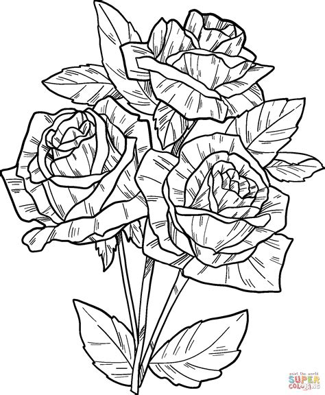 realistic rose coloring pages
