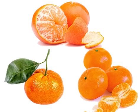 tangerine  orange thosefoodscom