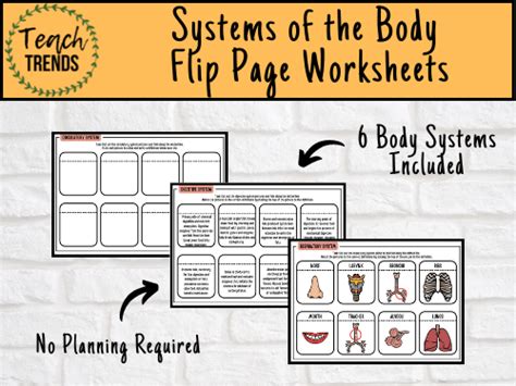 systems of the body flip page worksheets teaching resources