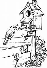 Bird Drawing Coloring House Drawings Pages Birdhouse Houses Fence Birdhouses Pyrography Stamps Patterns Sketches Pencil Easy Birds Line Para Burning sketch template