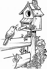 Bird Drawing Coloring House Drawings Pages Birdhouse Birdhouses Houses Fence Pyrography Stamps Patterns Easy Pencil Birds Line Para Sketches Burning sketch template