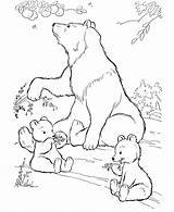 Bear Coloring Pages Kids Sheets Related Post sketch template