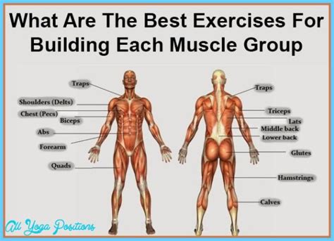 best exercises per body part