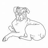 Boxer Dog Coloring Pages Down Lying Colouring Color Print Printable Bowl Kids Template Getcolorings Drawings Button Using Designlooter Paper Grab sketch template