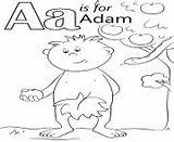Adam sketch template