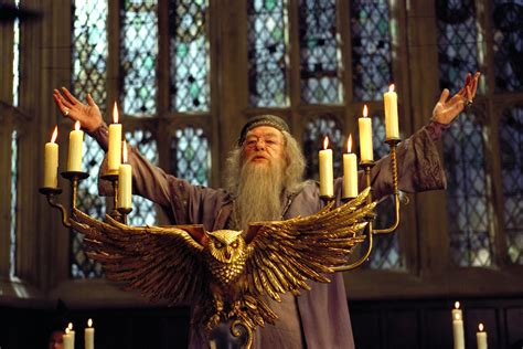 The Throwaway Dumbledore Remarks That Got Us Thinking Wizarding World