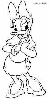 Duck Daisy Outline Colouring Drawings Outlines Prente Inkleur Minnie Maus Sketches Ausmalen Disneyclips Pikosy sketch template