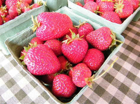 strawberries makaria farm