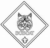 Scout Cub Bobcat Rank Cubs sketch template