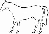 Horse Outline Animal Animals Outlines Printable Clip Clipart Coloring Horses Running Pages Arty Body Drawing Kids Drawings 13j Head Cliparts sketch template