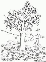 Arbre Automne Sans Loup Copaci Baum Feuilles Arbres Colorat Ausmalen Desene árbol Colorier Rigolo Arbol Girafe Orianne Lallemand Coloriageetdessins Auzou sketch template