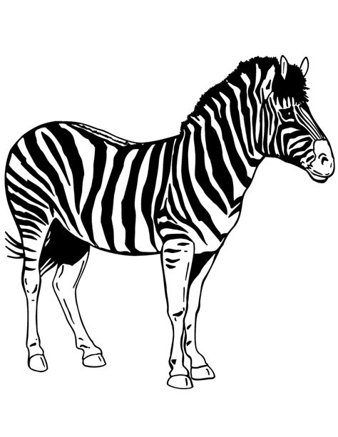 zebra print coloring pages coloring home