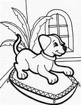 Coloriage Chiot Anjing Mois Anak Lit Diwarnai Lucu Mewarnai Sketsa Imut Itulah Kedua Postingan Bagian sketch template