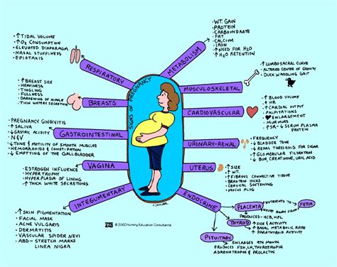 nursing mchn signs  pregnancy