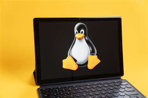 gpu graphics boost  linux apps  chrome os  vastly improves gaming video editing video