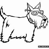 Terrier Scottish sketch template