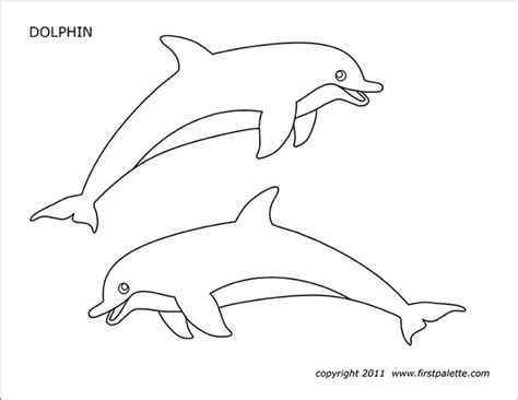 dolphin  printable templates coloring pages firstpalettecom