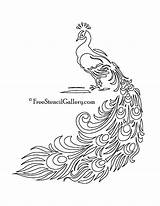 Peacock Stencil Printable Stencils Patterns Quilling Template Designs Own Thousands Make Ready Drawing Use Templates Outline Etching Freestencilgallery Large Glass sketch template