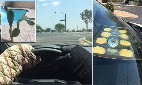 pictures show  arizona   hot  cacti wilted