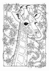 Coloring Pages Giraffe Colour Colouring Adult Book Adults Kindle Animal Patterns Mandala Dibujo Kids Color Giraffes Printable Sheets Para Mandalas sketch template