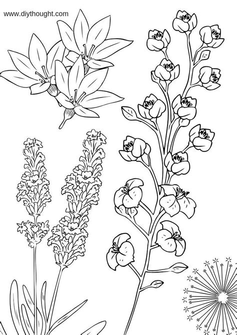 flower coloring printables diy thought colouring printables