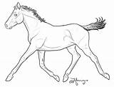 Foals Trotting Coloring sketch template