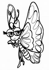 Schmetterling Malvorlage Schmetterlinge Zum sketch template
