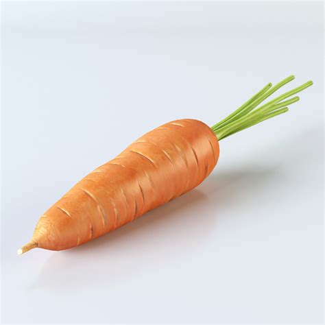 carrot 3d model cgtrader