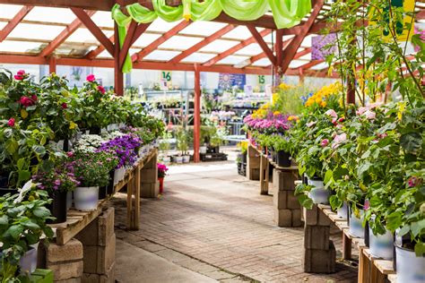 dc area garden center chains    plant prices wtop news