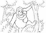 Mewarnai Orangutan Utan Kalimantan Ofi Yayasan Yoik Internasional Foundation sketch template